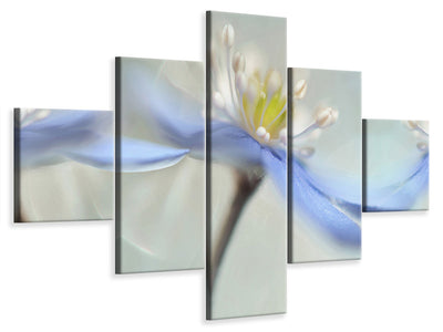 5-piece-canvas-print-dancing-anemones