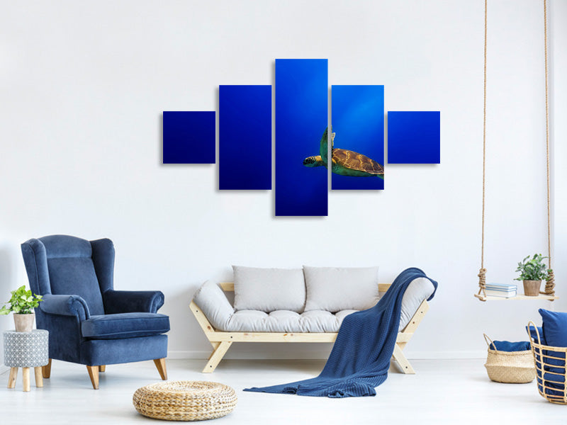 5-piece-canvas-print-flying