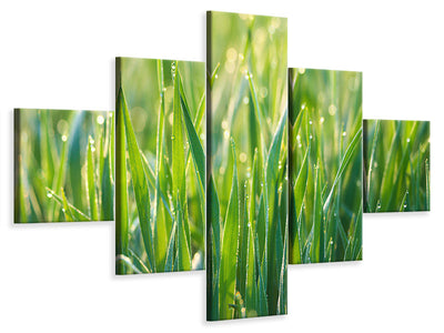 5-piece-canvas-print-grass-with-morning-dew-xl