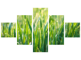 5-piece-canvas-print-grass-with-morning-dew-xl