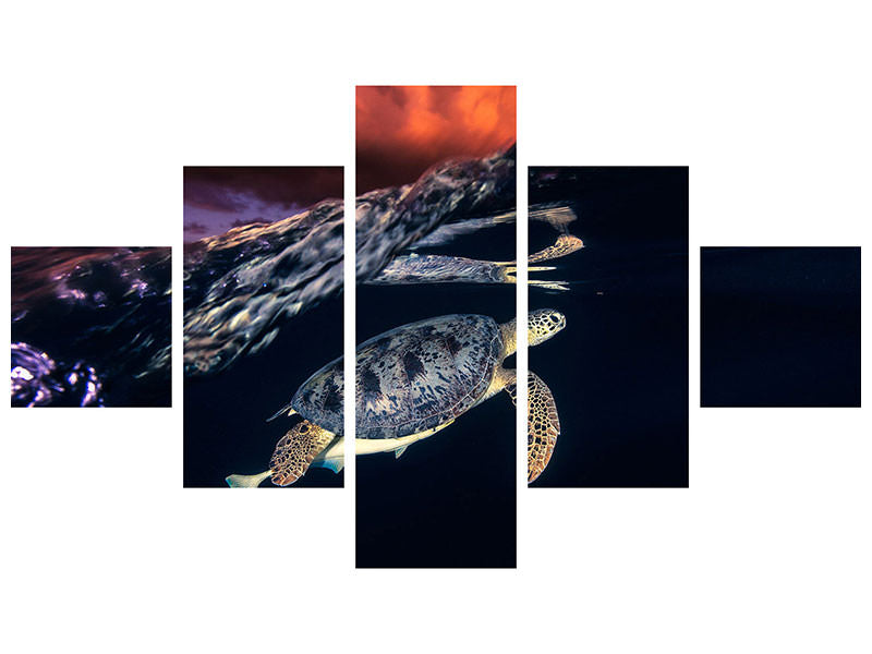 5-piece-canvas-print-green-turtle-and-sunset-sea-turtle