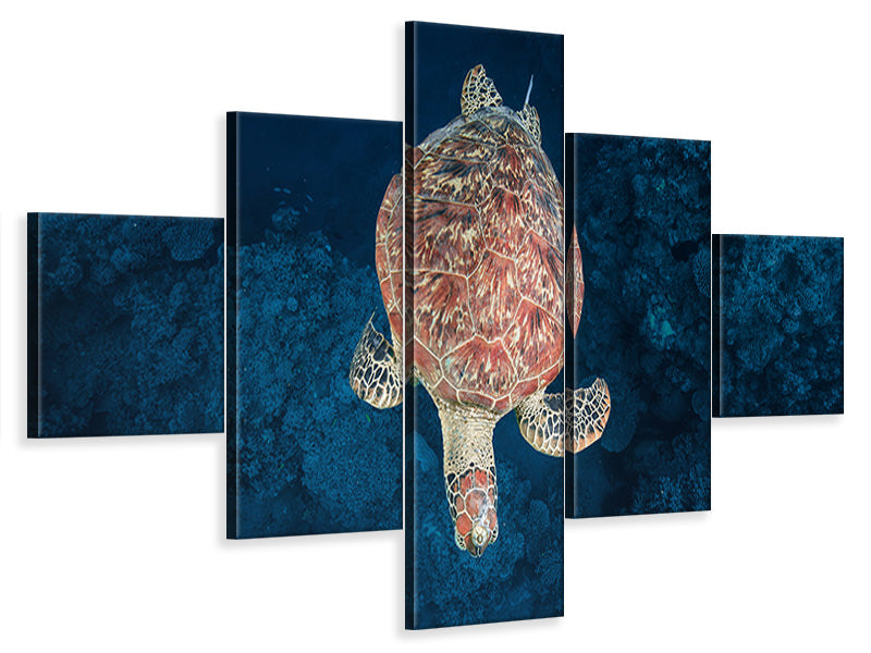 5-piece-canvas-print-green-turtle-on-blue-water