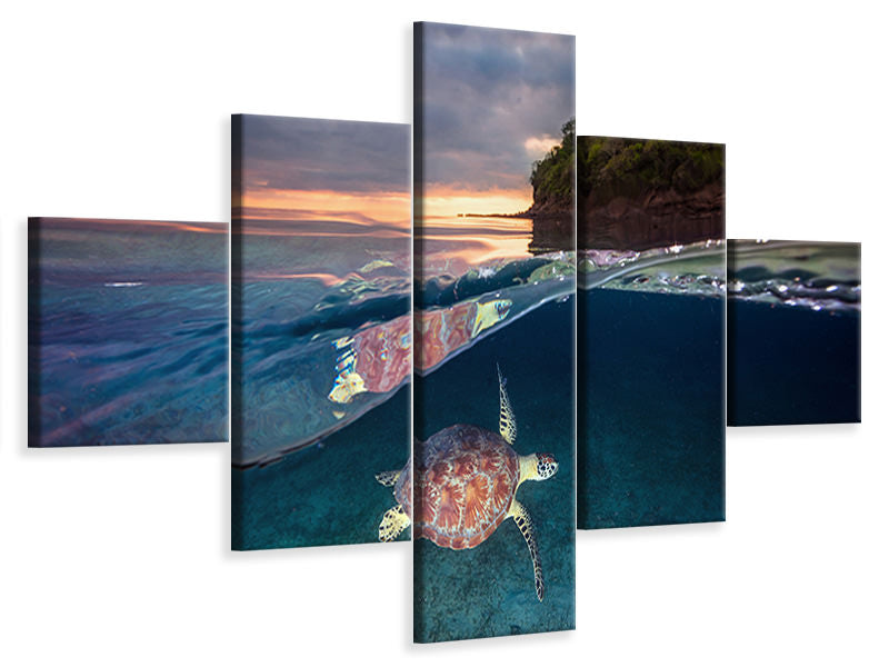 5-piece-canvas-print-green-turtle-with-sunset