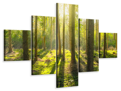 5-piece-canvas-print-in-the-middle-of-the-woods