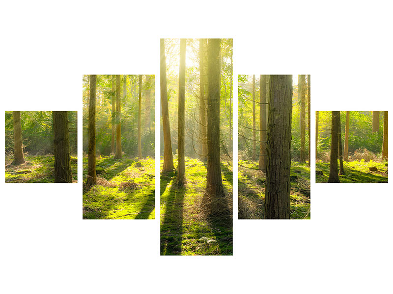 5-piece-canvas-print-in-the-middle-of-the-woods