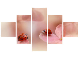 5-piece-canvas-print-ladybirds-on-pink-hydrangea