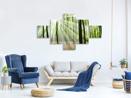 5-piece-canvas-print-magic-light-in-the-trees
