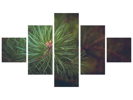 5-piece-canvas-print-pine-tree-close-up
