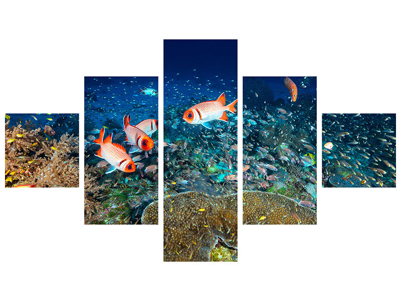 5-piece-canvas-print-reef-lifeii