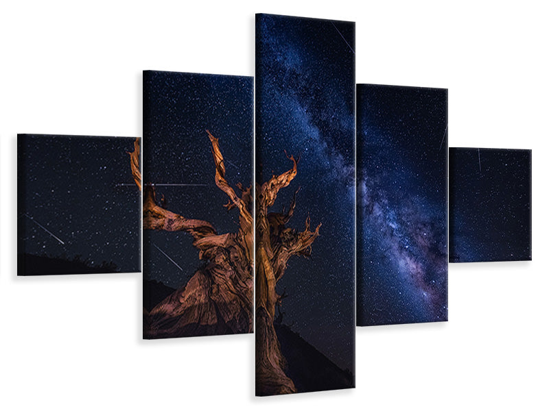 5-piece-canvas-print-shooting-stars-night