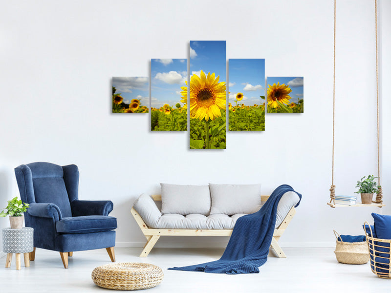 5-piece-canvas-print-summer-sunflowers