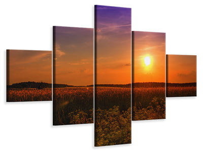 5-piece-canvas-print-sunset-at-the-flower-field