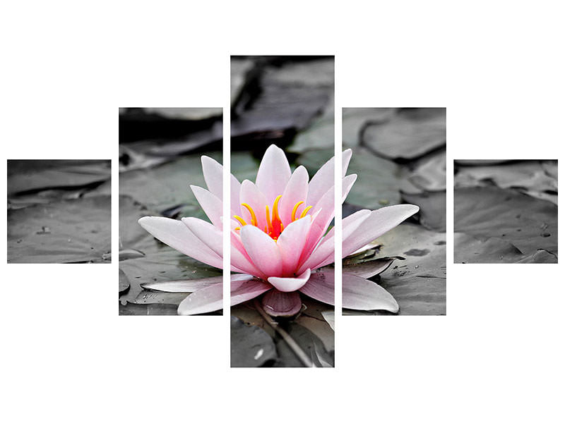 5-piece-canvas-print-the-art-of-water-lily
