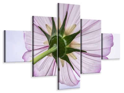5-piece-canvas-print-the-cosmos-flower
