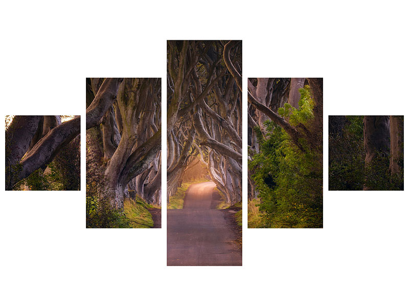 5-piece-canvas-print-the-glowing-hedges