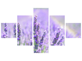 5-piece-canvas-print-the-lavender-blossom