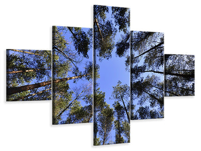 5-piece-canvas-print-under-high-treetops