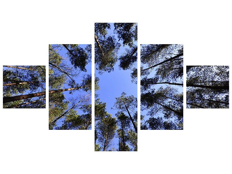 5-piece-canvas-print-under-high-treetops