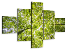 5-piece-canvas-print-under-the-treetops