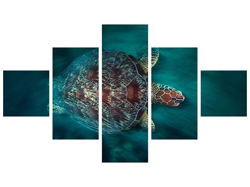 5-piece-canvas-print-valocity-turtle