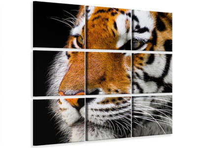 9-piece-canvas-print-close-up-tiger-head