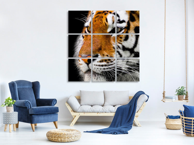 9-piece-canvas-print-close-up-tiger-head