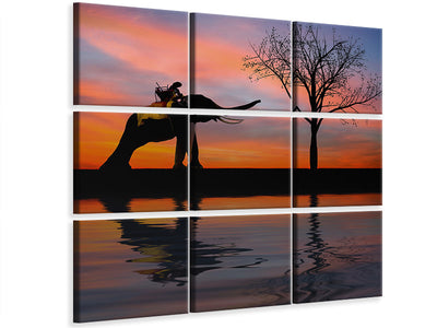 9-piece-canvas-print-elephant-in-the-evening-light