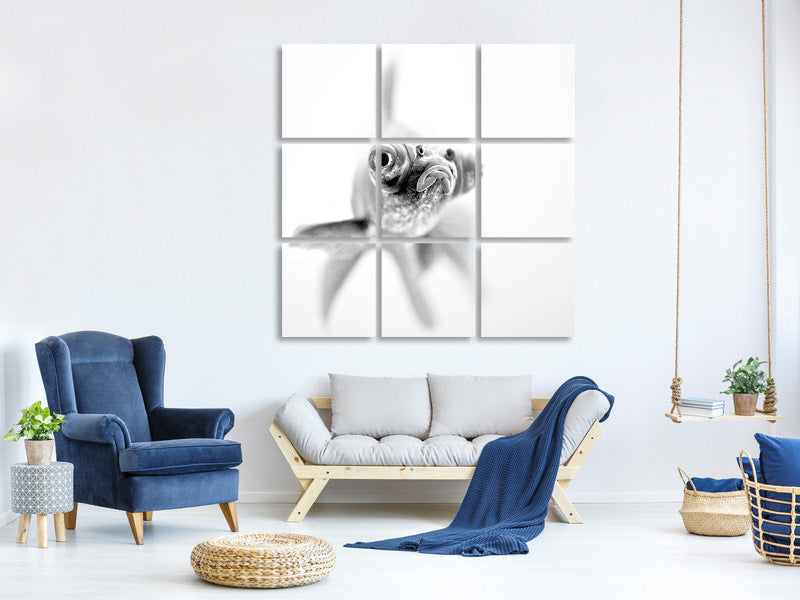 9-piece-canvas-print-im-ready-for-my-close-up