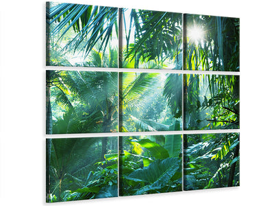 9-piece-canvas-print-in-tropical-forest