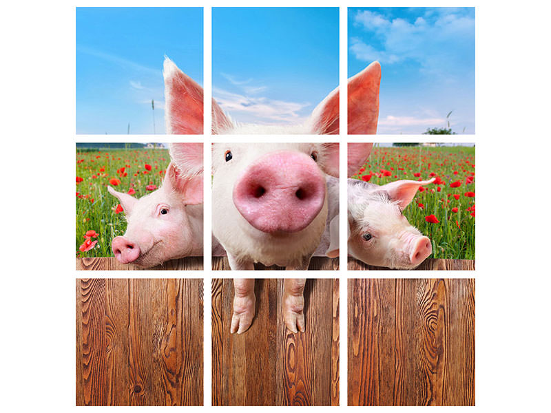 9-piece-canvas-print-pig-in-luck