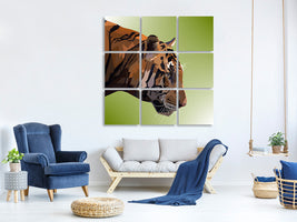 9-piece-canvas-print-pop-art-tiger