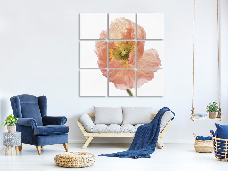 9-piece-canvas-print-poppy