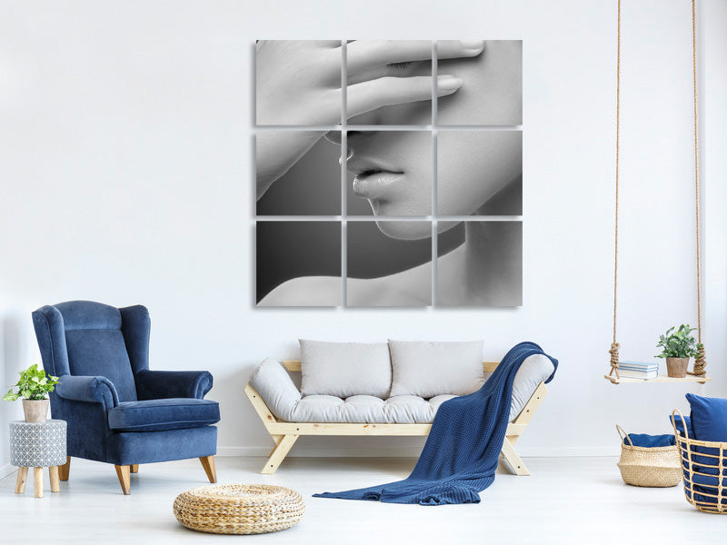 9-piece-canvas-print-shy