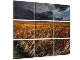 9-piece-canvas-print-strohgaeu