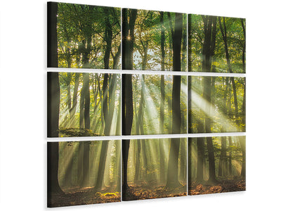 9-piece-canvas-print-sunny-start-to-the-day