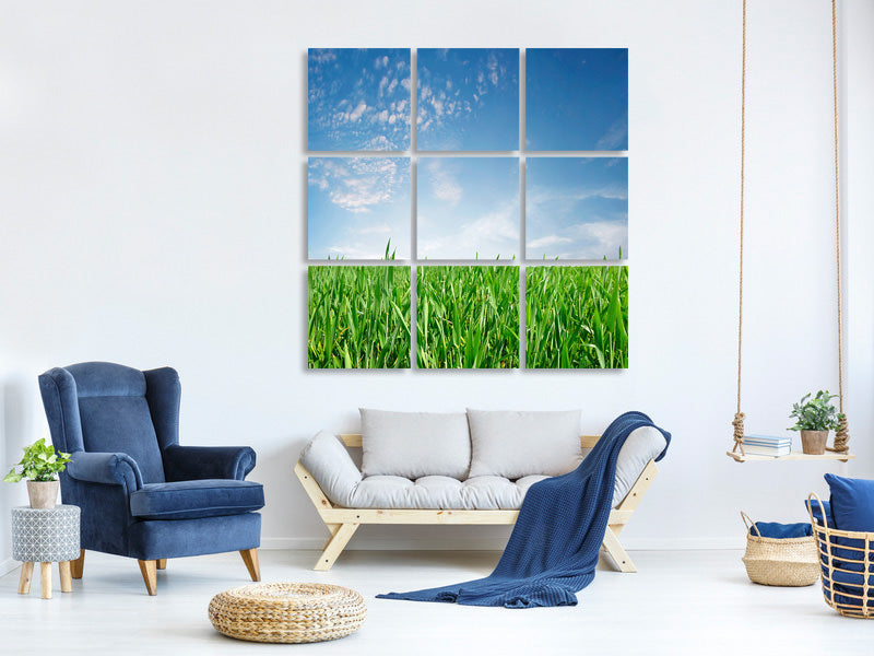 9-piece-canvas-print-the-grass