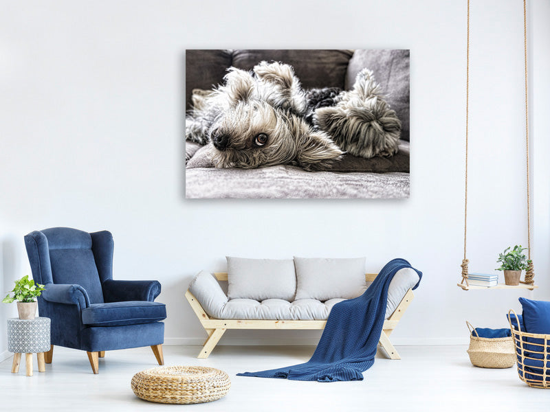 canvas-print-2-cute-dogs