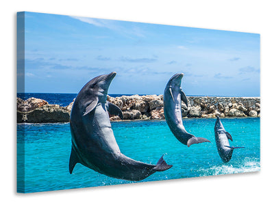 canvas-print-3-dolphins