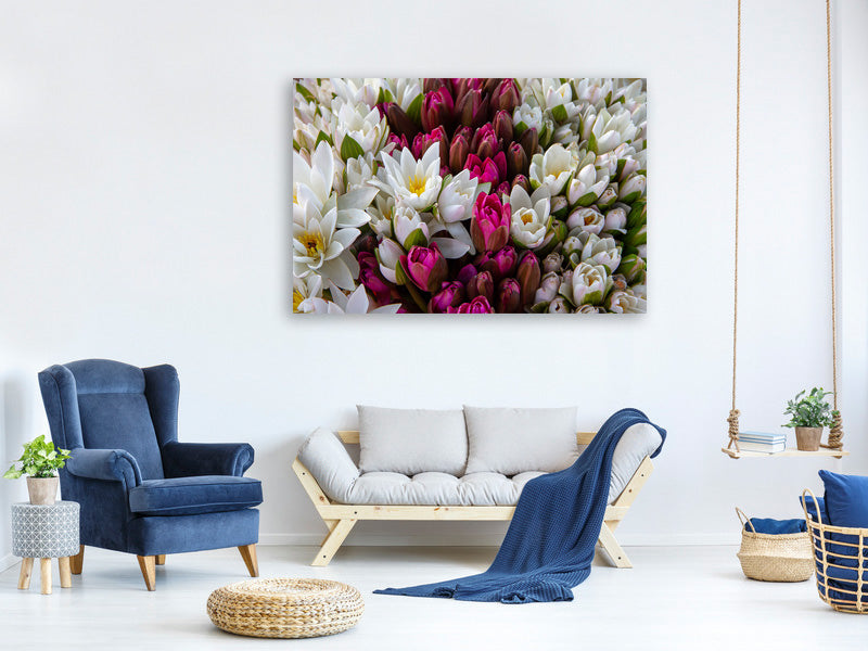 canvas-print-a-bouquet-of-water-lilies