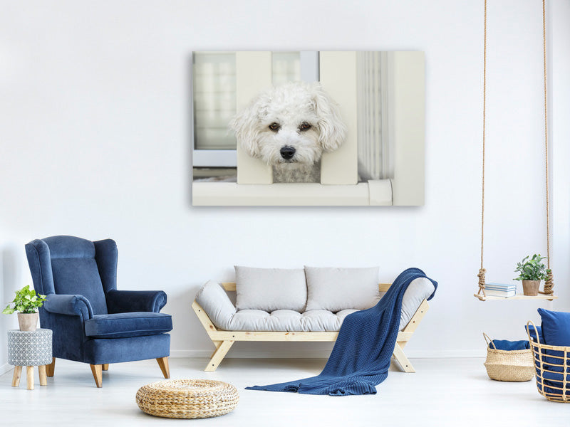 canvas-print-a-dog-girl-to-fall-in-love