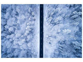 canvas-print-a-frosty-road-x