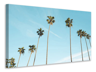 canvas-print-a-sky-full-of-palm-trees