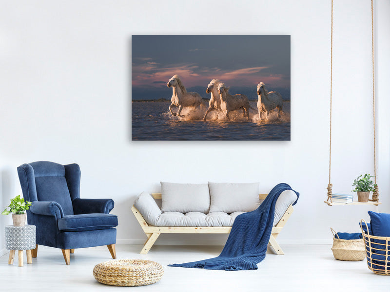 canvas-print-angels-of-camargue