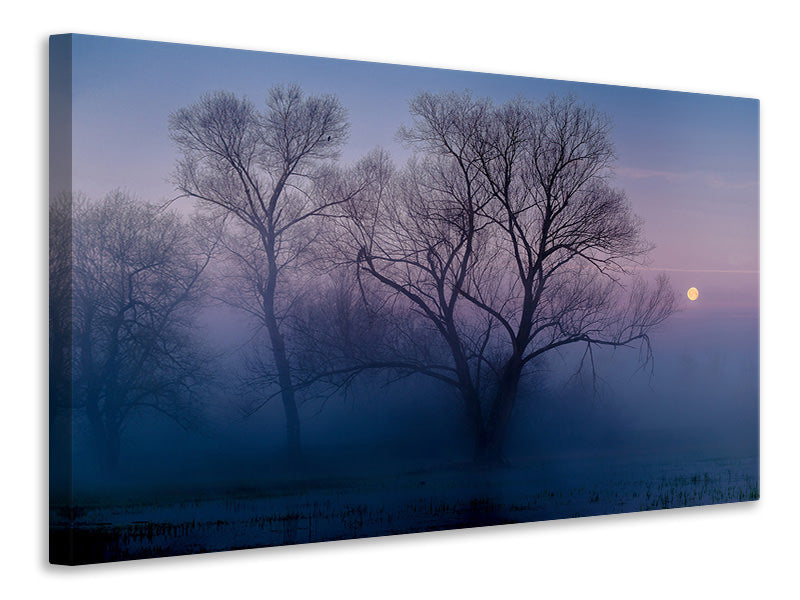 canvas-print-another-new-day