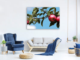 canvas-print-apple-on-the-tree