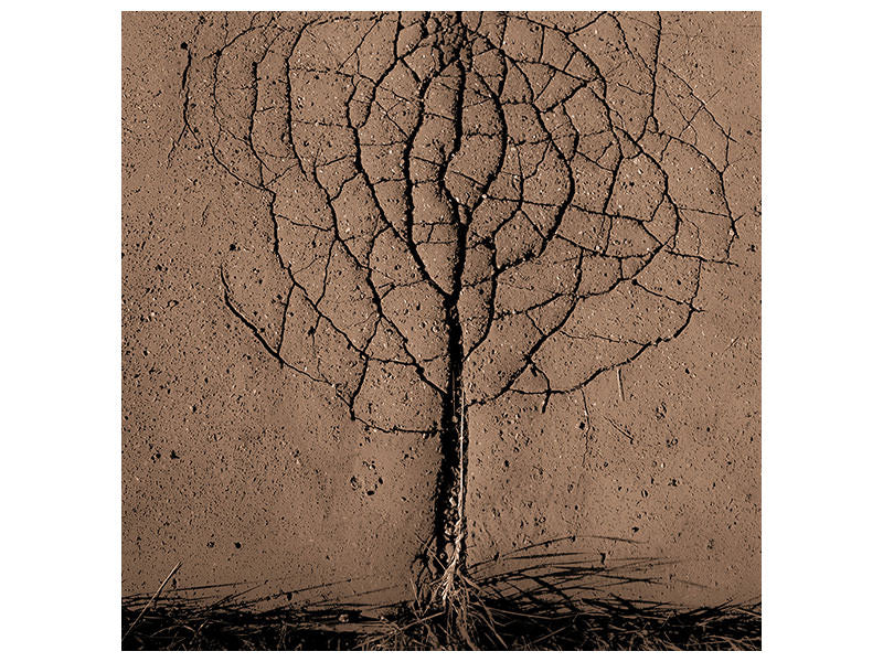 canvas-print-asphalt-tree