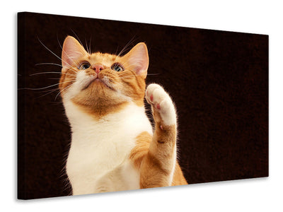 canvas-print-attention-clever-cat