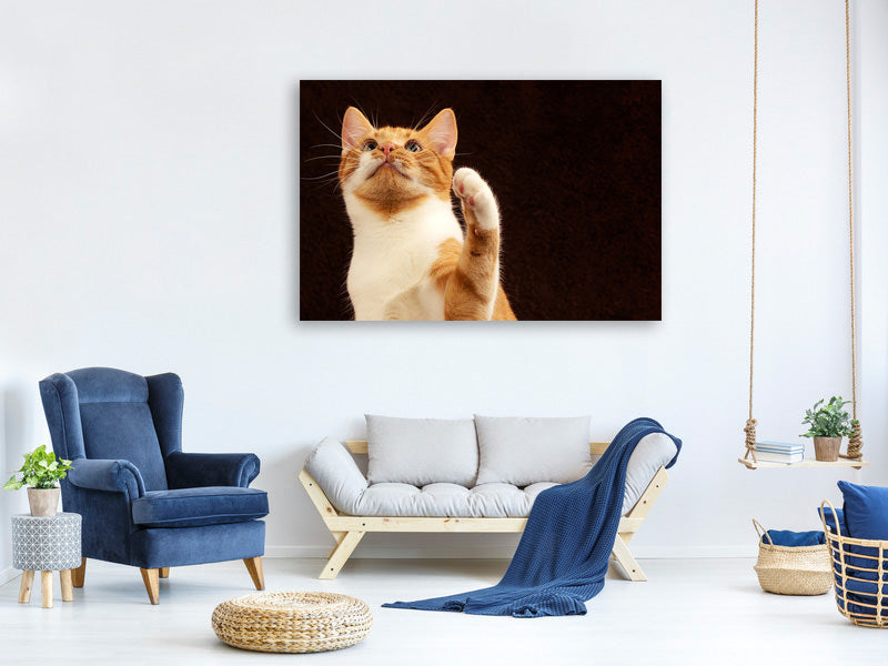 canvas-print-attention-clever-cat