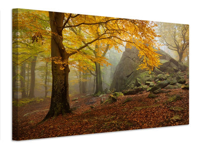 canvas-print-autumn-forest-x