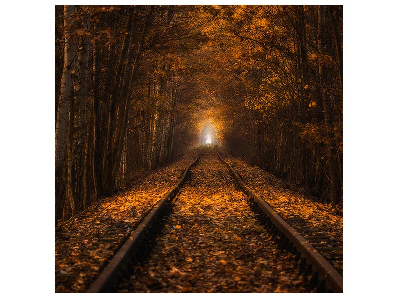 canvas-print-autumn-tunnel-x